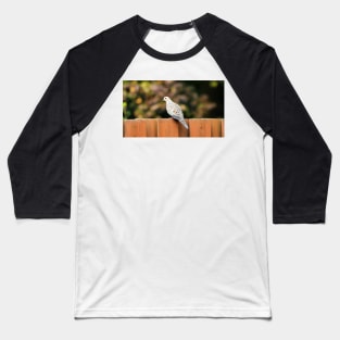 Mourning Dove Perched On a Fence Baseball T-Shirt